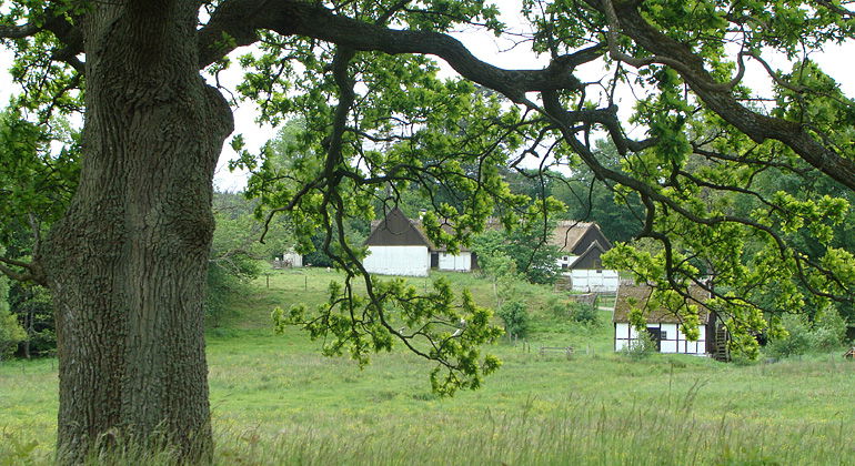 Gamlegård.