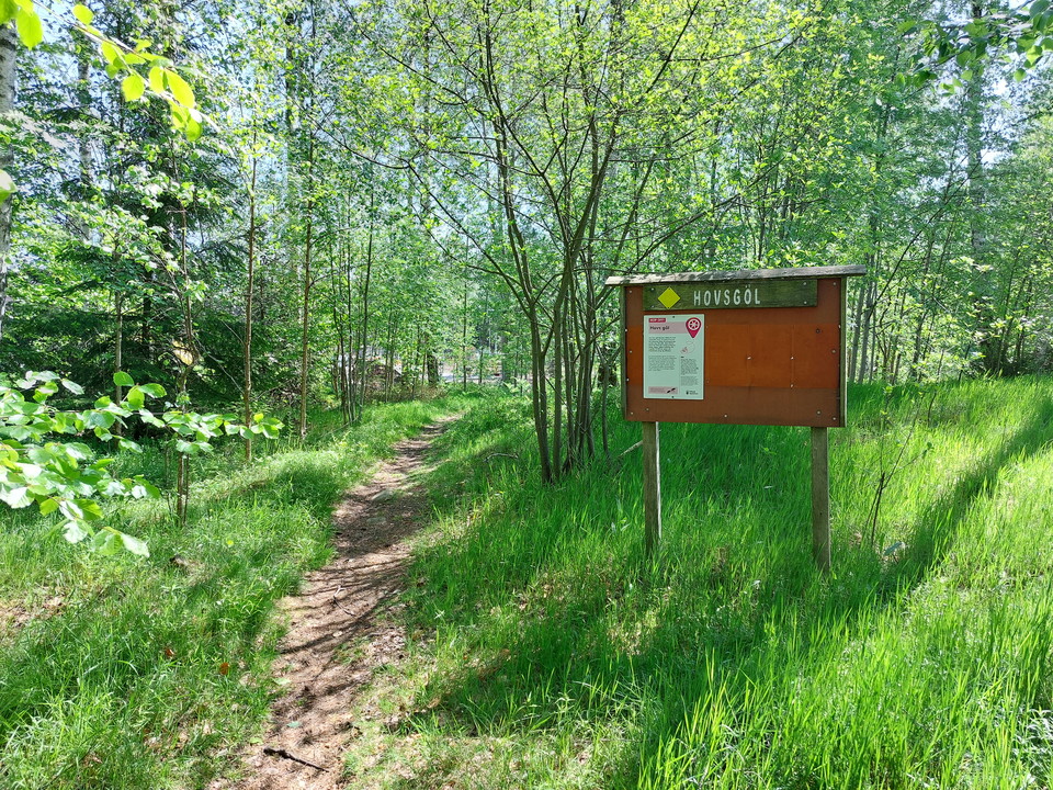 Hop off Växjö runt 2024