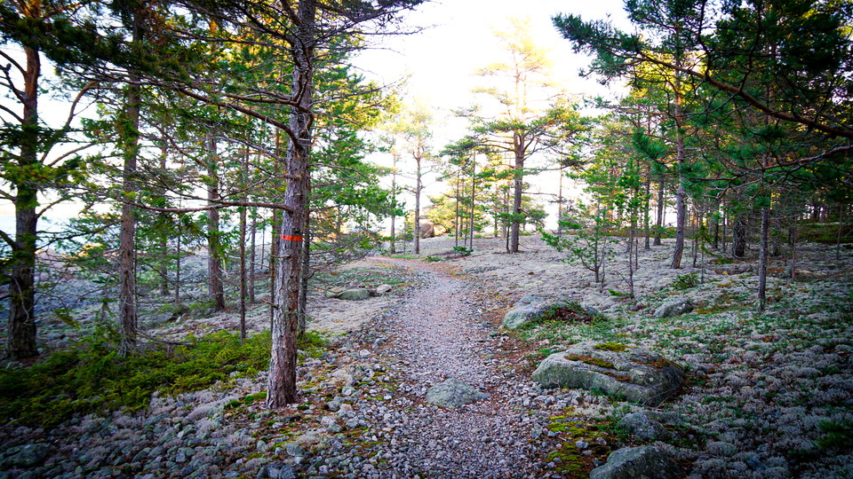 Stig på Skatön