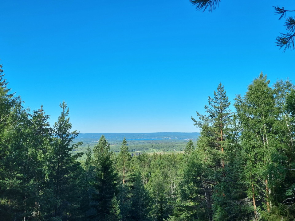 View från Svarttjärnshöjden