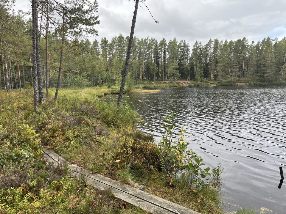 Vy över spänger Övre Långtjärn