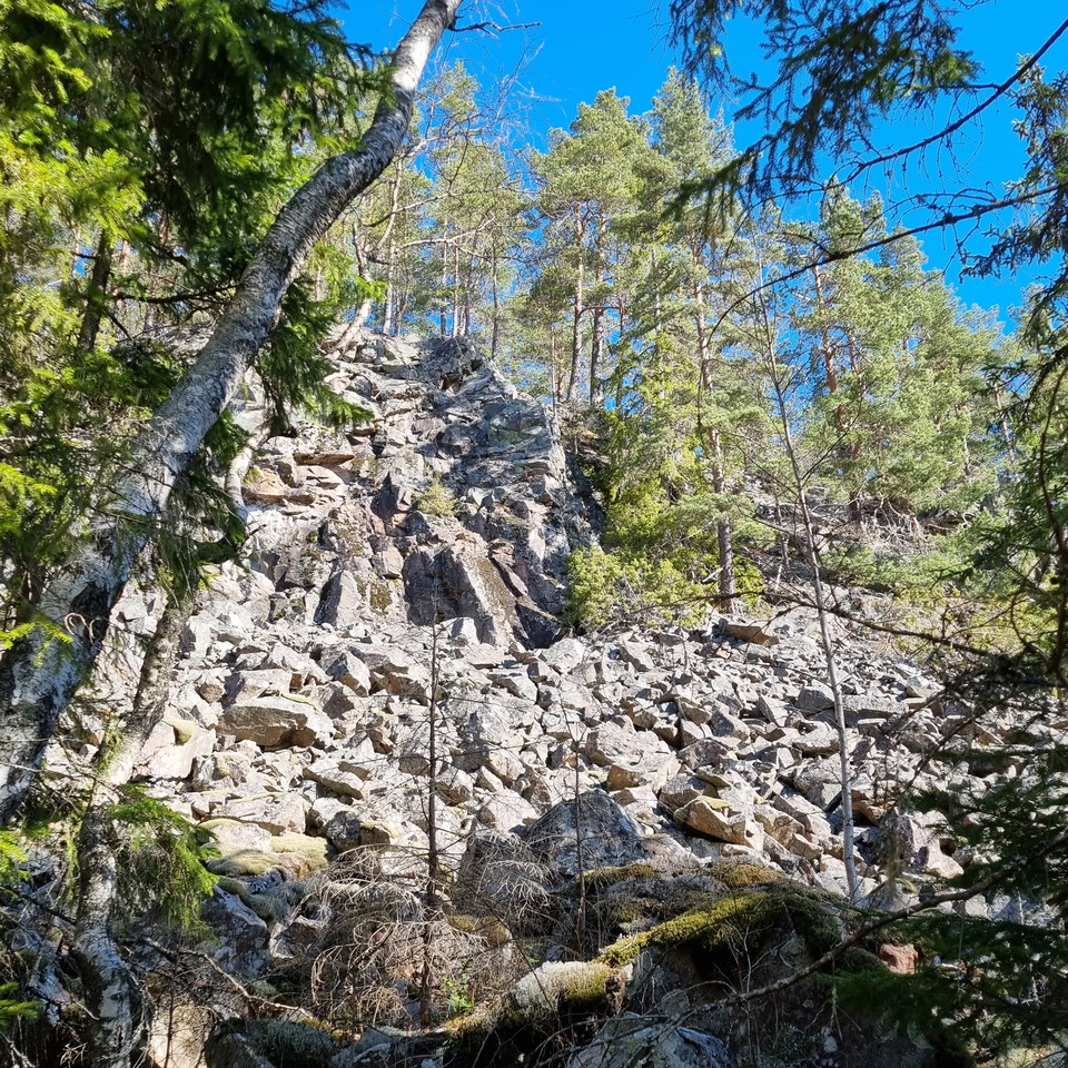 Stenras vid bergvägg.
