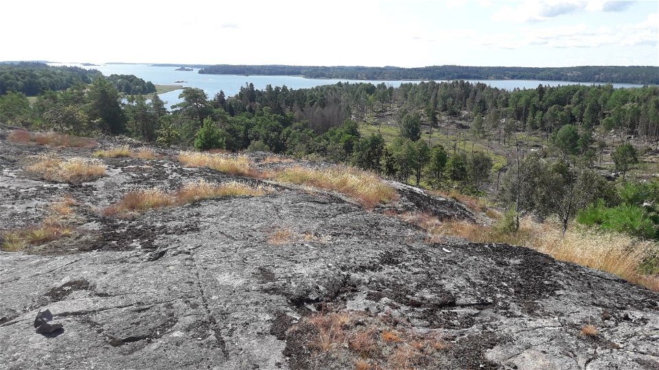 Utsikt från Kasberget i Tullgarns naturreservat. 