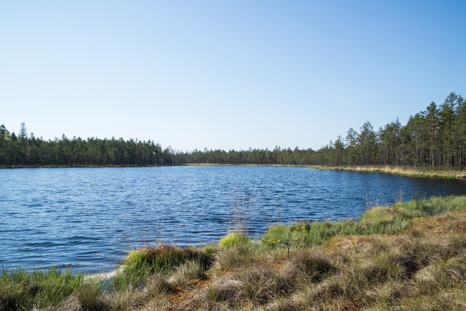 Fotograf: Tobias Ivarsson