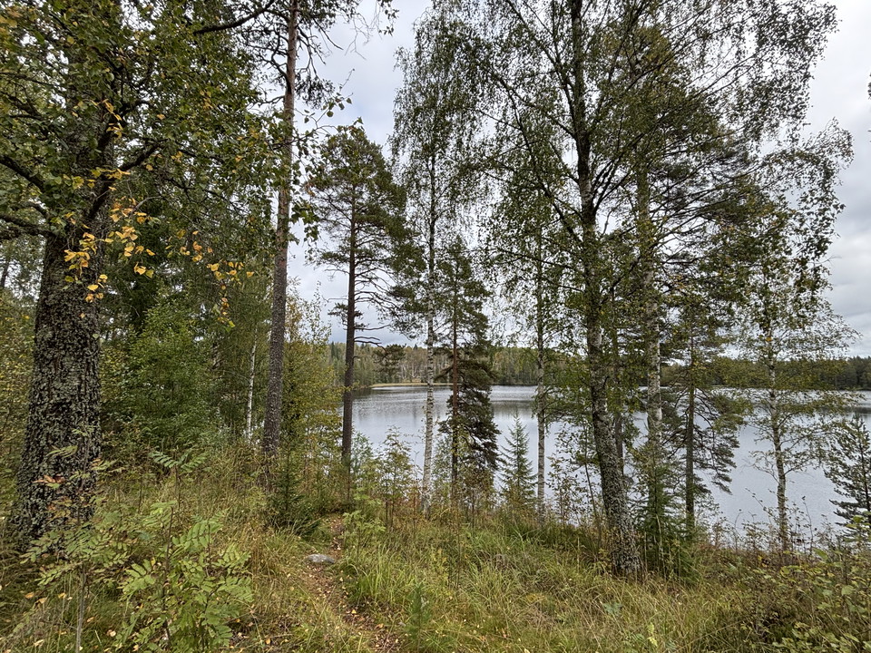 Vy över Lilla Sångaren