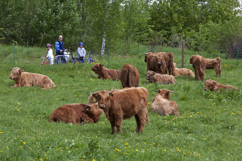 Foto: Torbjörn Arvidson