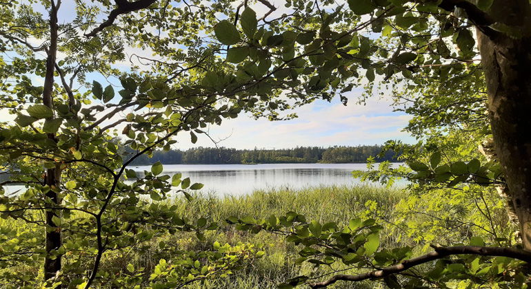Utsikt över Vittsjön.
