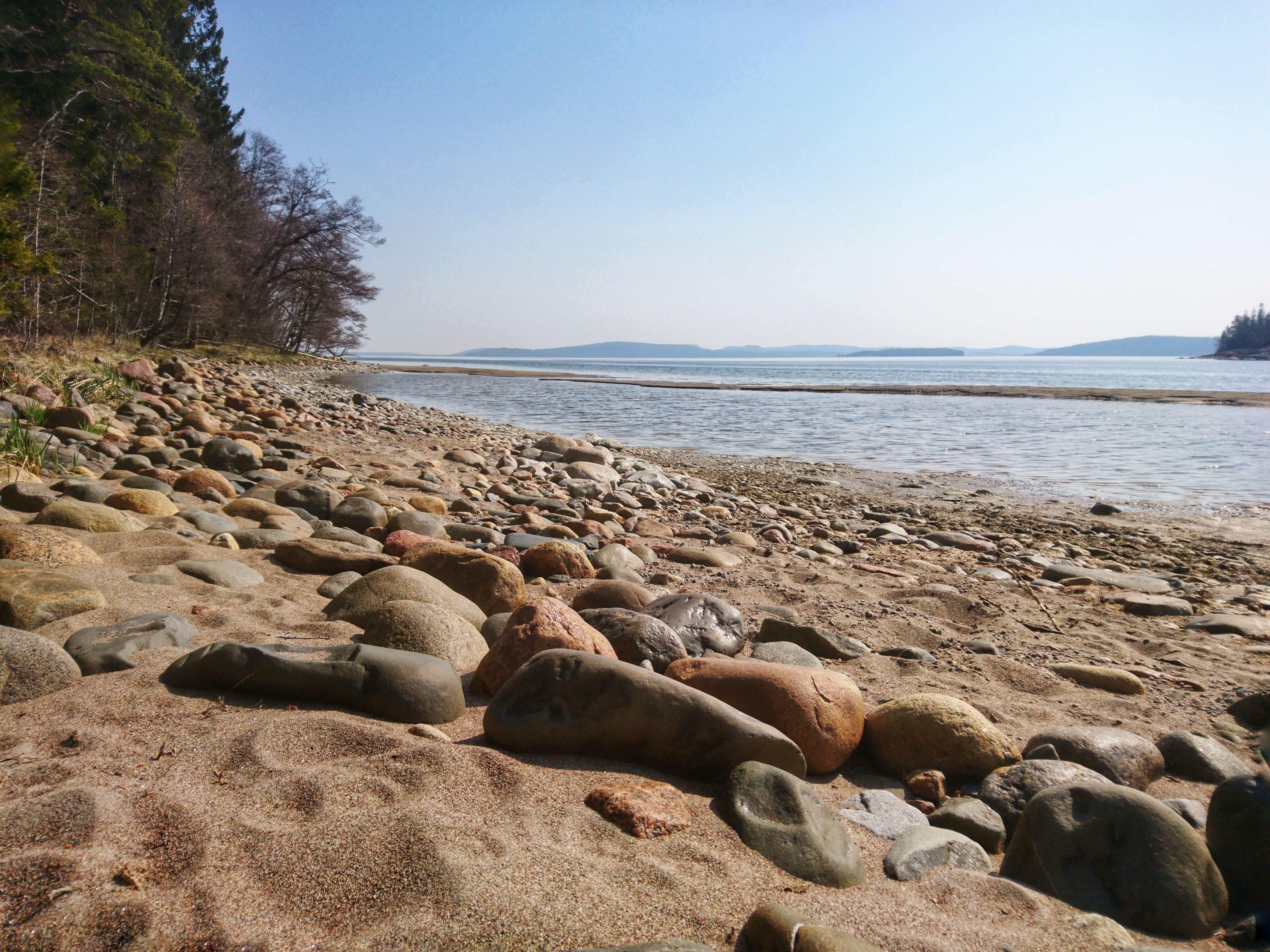 Det finns flera fina sandstränder i Skuleskogen. Foto: Johanna Öhrling, Länsstyrelsen