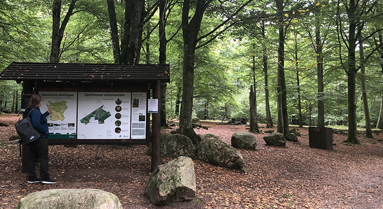 Rastplats vid Djurholmens parkering.