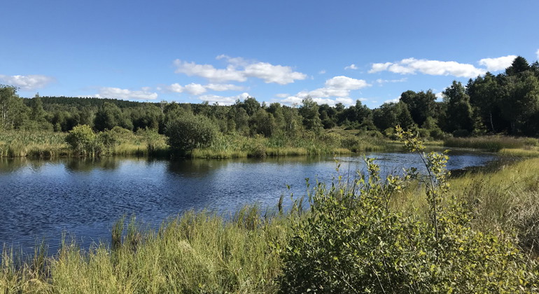 Bösketorps dammar.