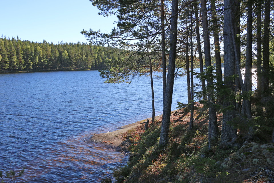 Örtjärn.