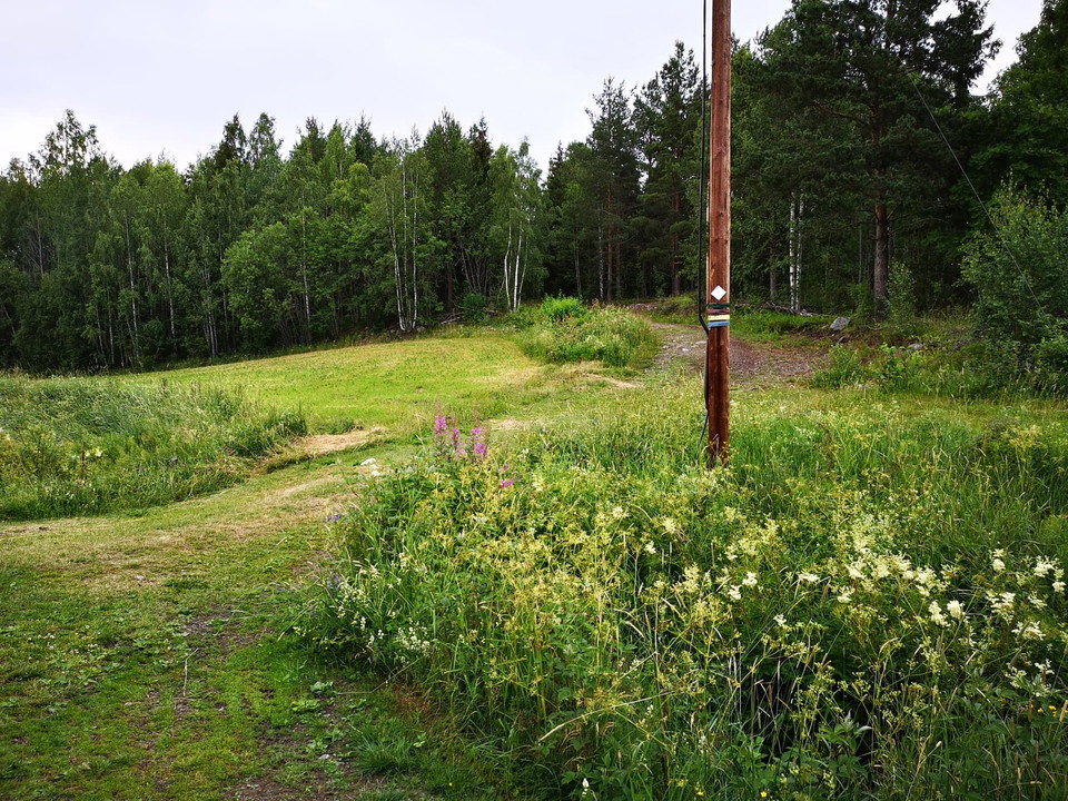 Välj höger där spåret delar sig