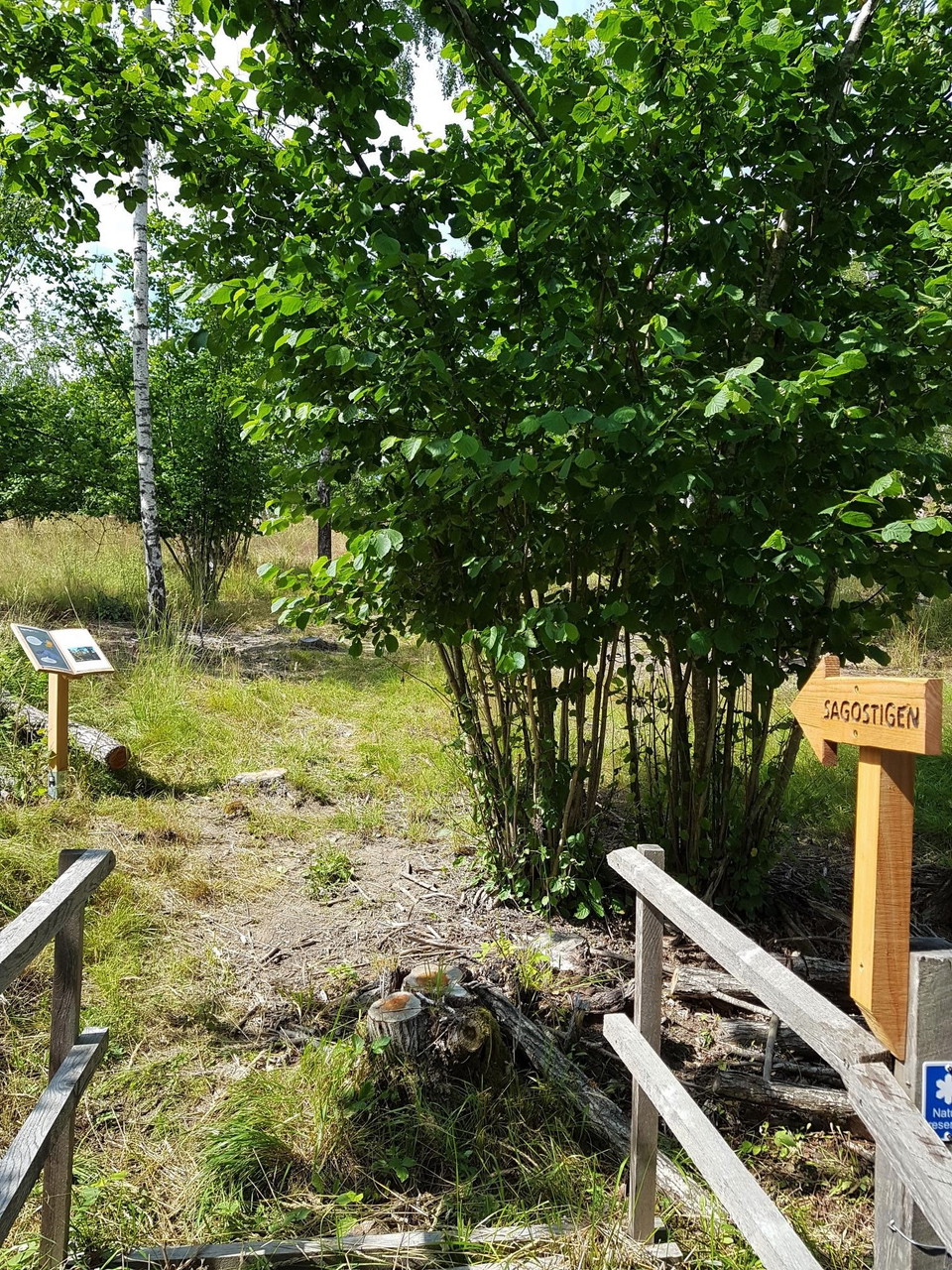 Entréen till Törnskogens sagostig.