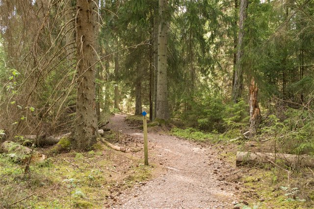 Skirvik trail, Teleborg