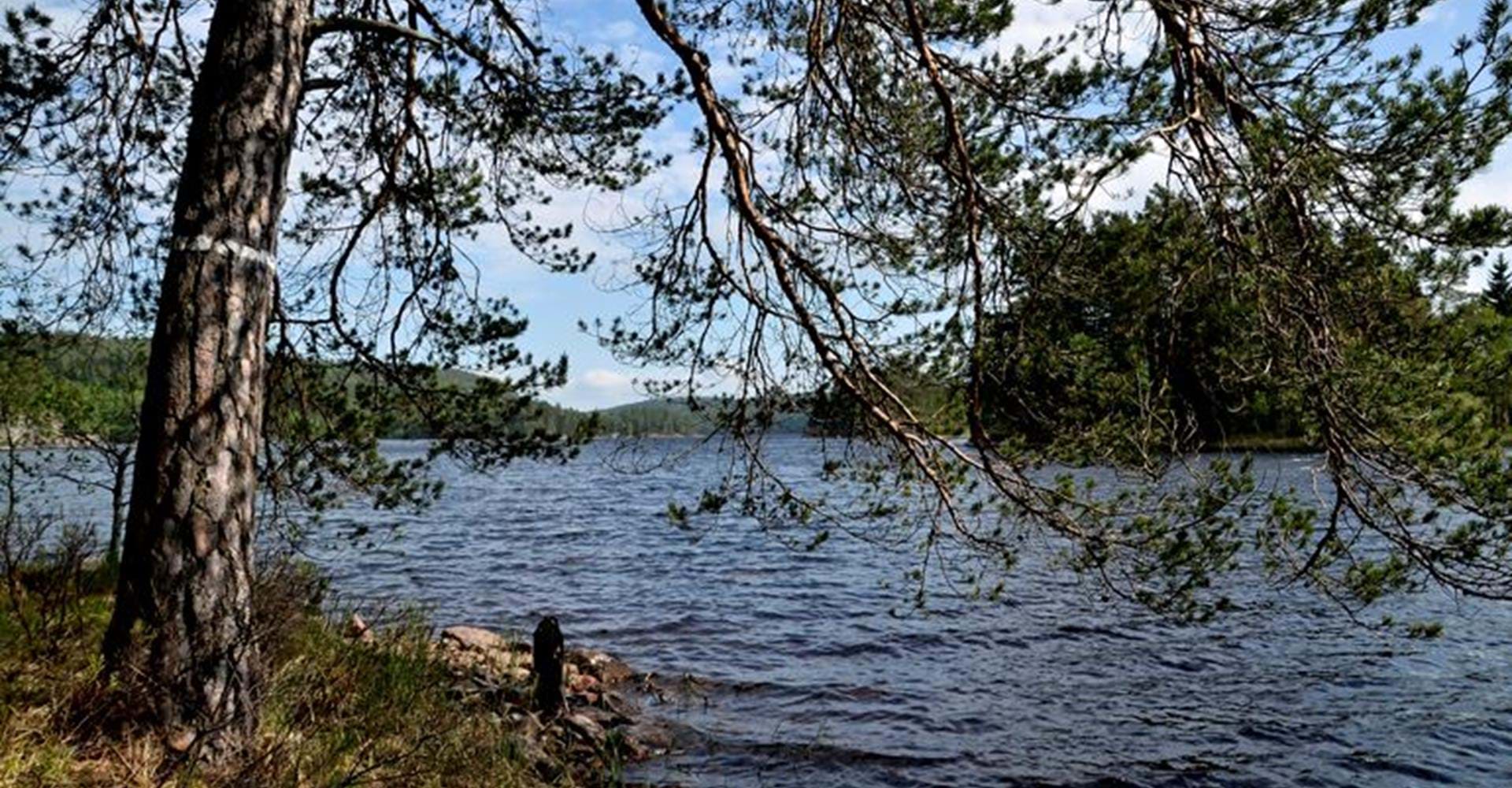 Rastplats vid Ågelsjön
Sätermarkens naturreservat
Kolmården
Norrköping