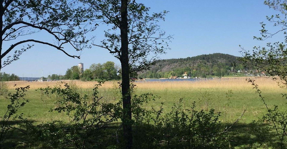 Stegeborg, Söderköping