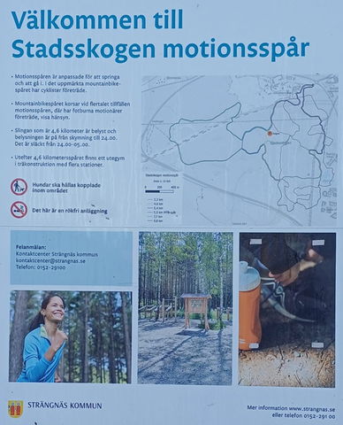 Stadsskogen motionsspår 3,3 km