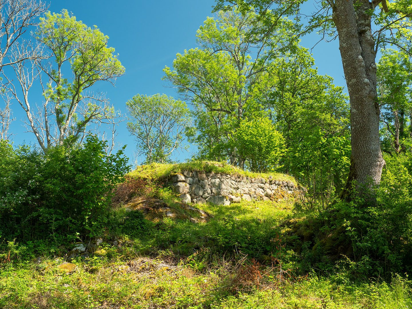 Borgruin 