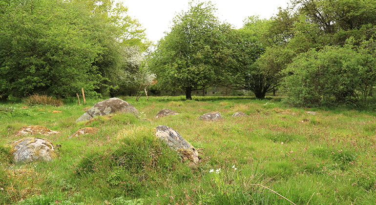 Naturbetesmarken i norr.