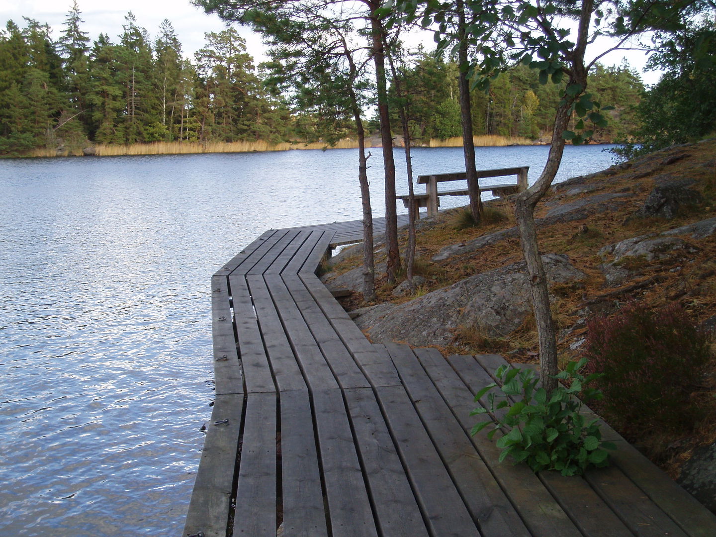 Brygga på Ljungholmen