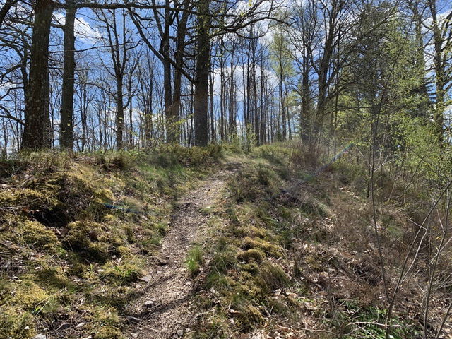 1. Rullstensås