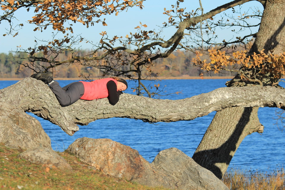 Lugn i själen, ro i sinnet på Kärleksudden i Yttereneby naturreservat.