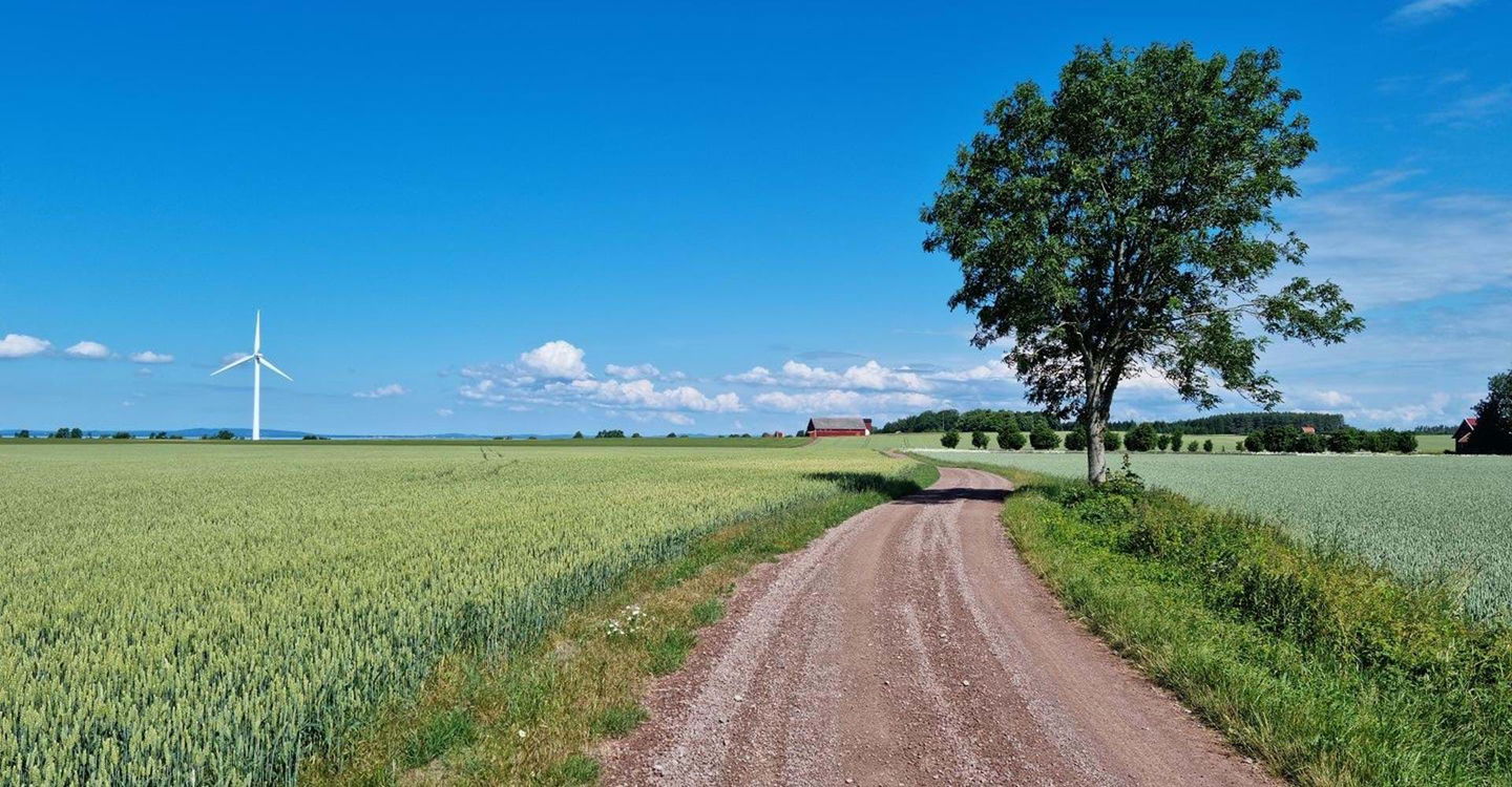 Etappen går till största delen på asfalt, Resten får på grusvägar.
Etapp: Borghamn-Vadstena.
Vadstena.