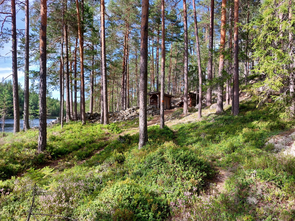 Vindskydd vid Igeltjärn