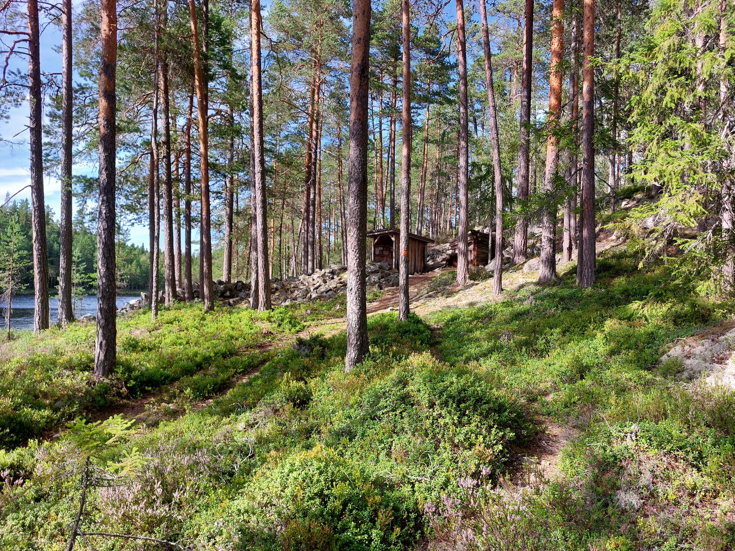 Vindskydd vid Igeltjärn
