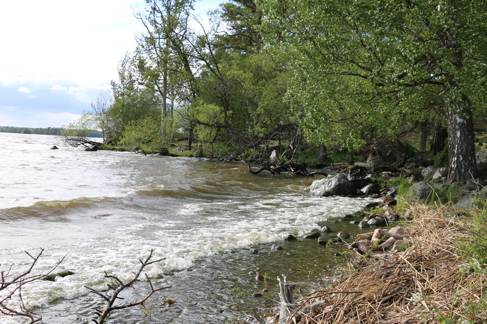 Vatten i vågor i en vik.