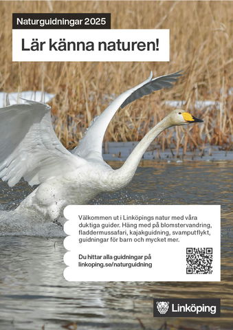Lär känna naturen - naturguidningar 2025