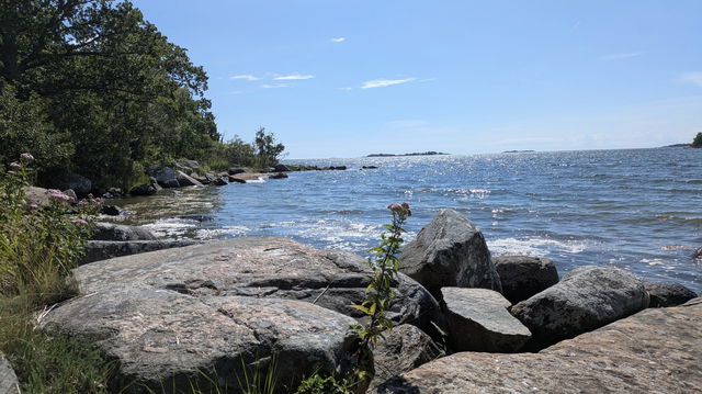 ARK56 välkomnar nya medlemmar