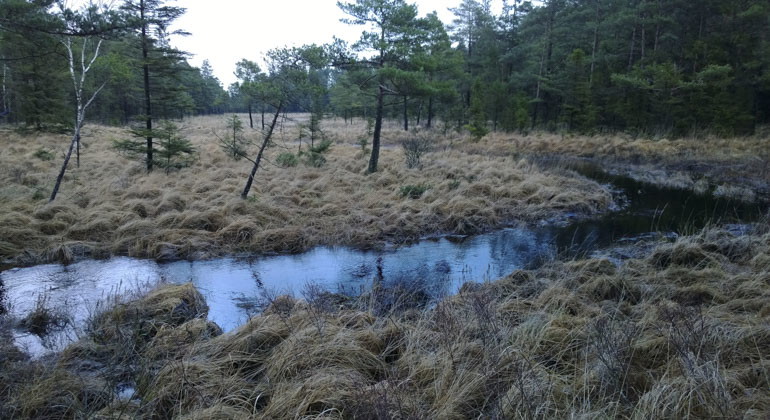 vy från reservatet
