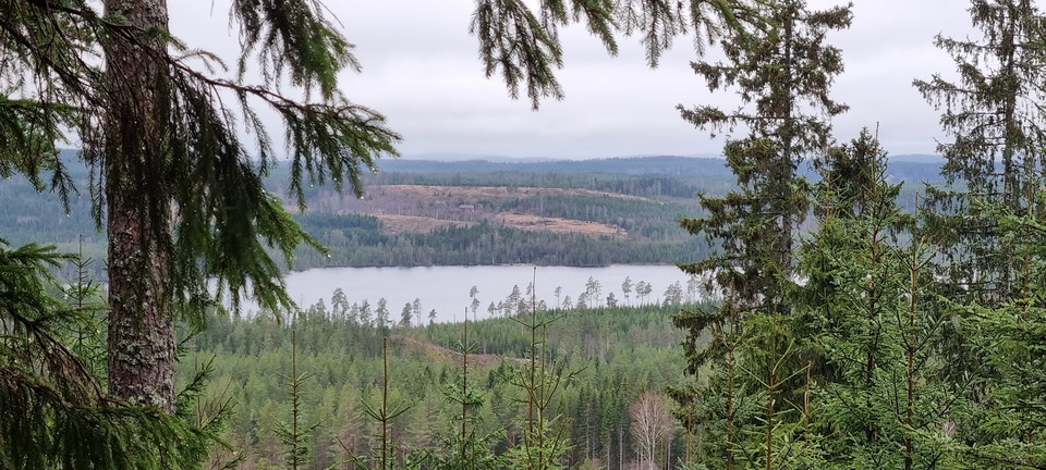 Sjö skymtas bland träd, från en höjd.