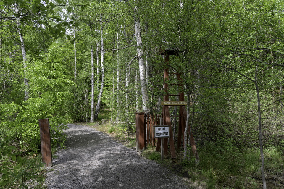 Engelska parken, foto: Mattias Åström