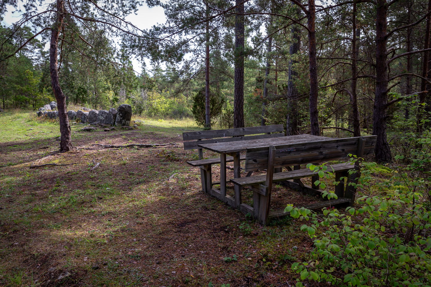 Ett bänkbord i skogsmiljö. I nära anslutning till besöksmålets skeppssättning.