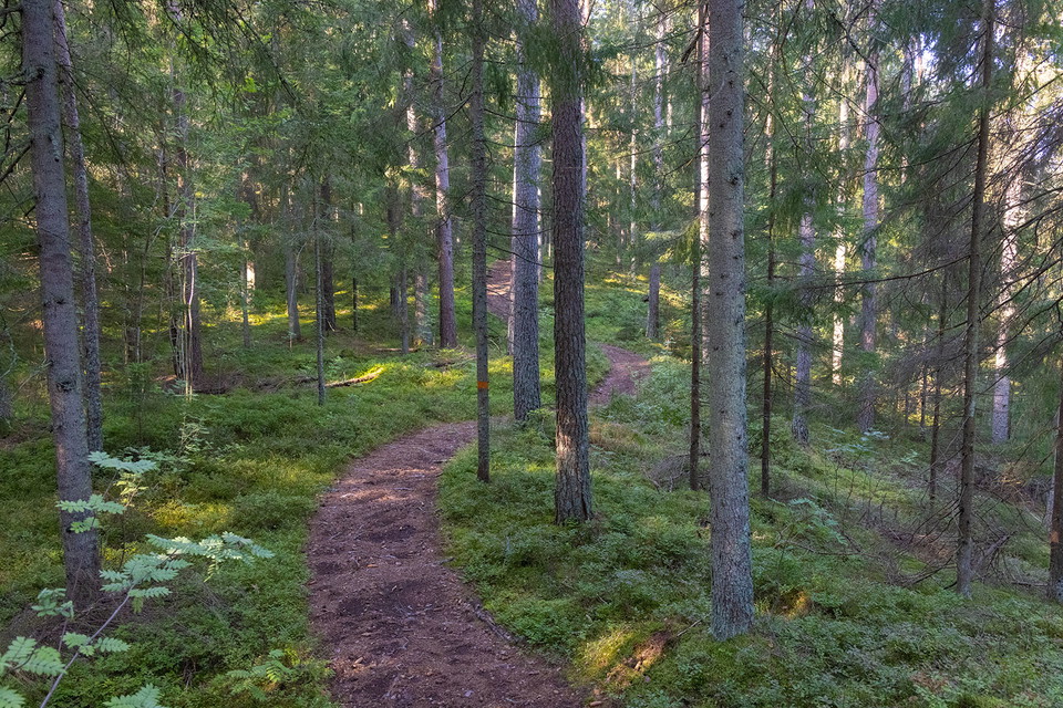 Foto: Fredrik Neregård