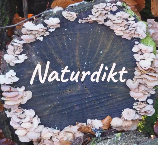 Naturdikt- Geführte Wanderungen