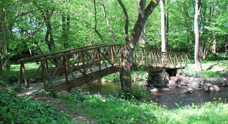 Bro i norra delen av reservatet.