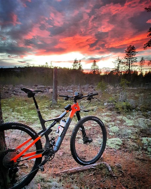 En cykel står med vacker kvällsol i bakgrunden i skogsmiljö