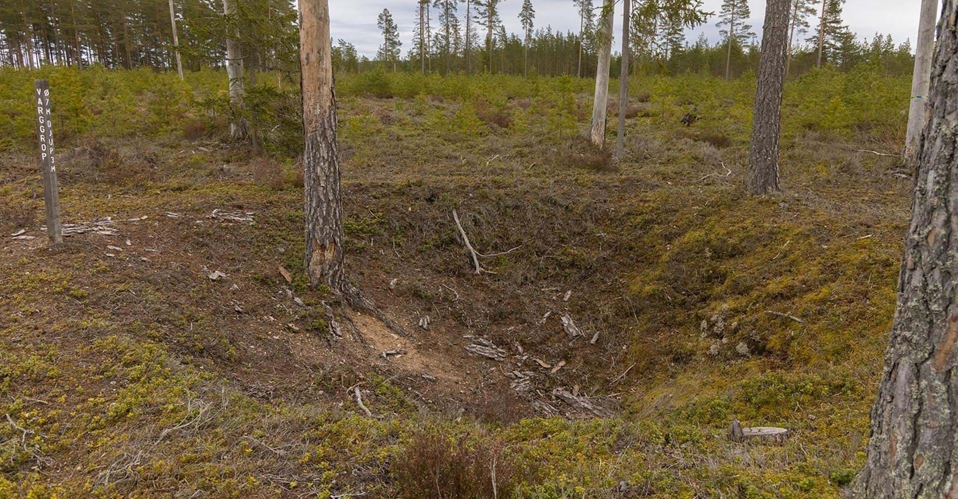Lodstugans varggrop