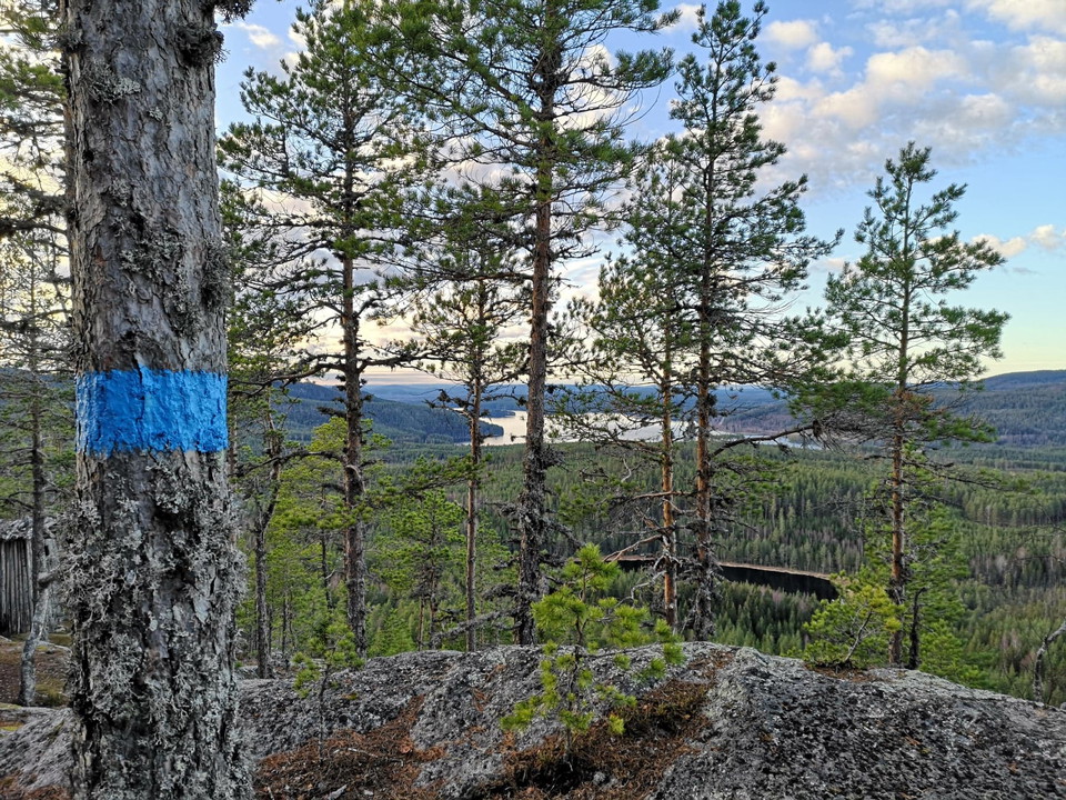 Järnvallsklinten, utsikt västerut, sjön Gryttjen.