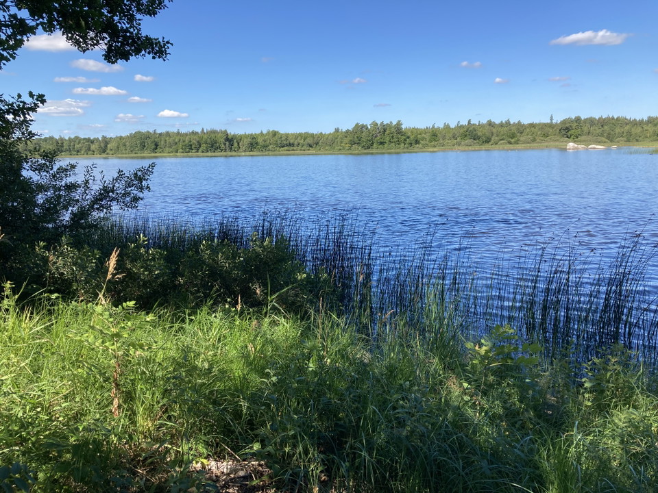 Foto: Tingsryds kommun