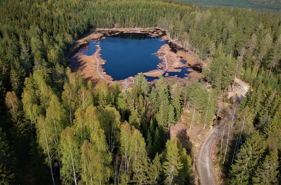 Lilla Abborrtjärn - Endast Flugfiske