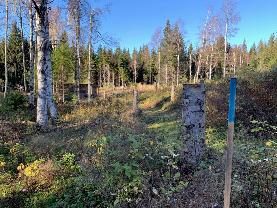 Vy över Löfmarken