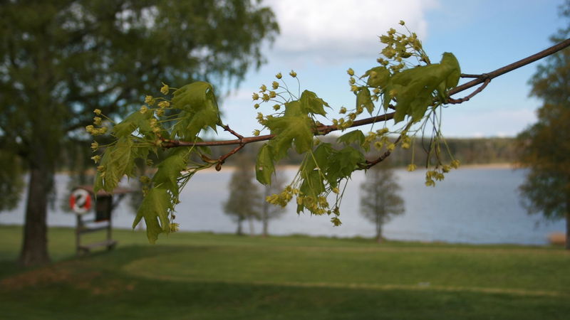 Valnäs krog och rum