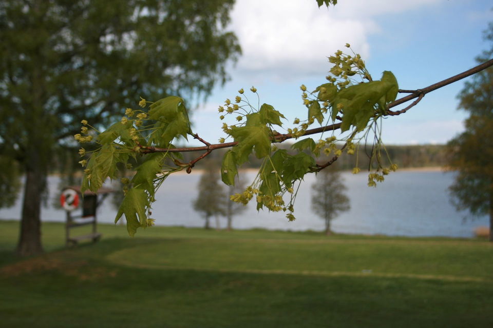 bildvy över golfbanan
