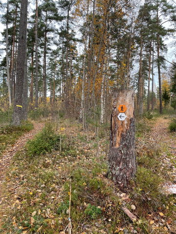 Hallstahammar - Kvarnskogsleden