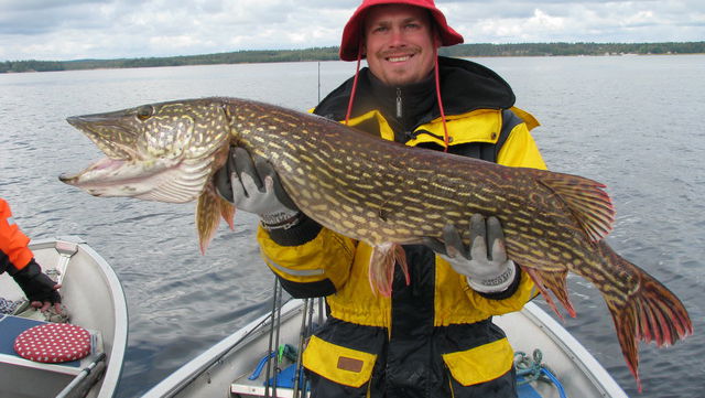 Liljenäs natur & fritid, Fiskeguide