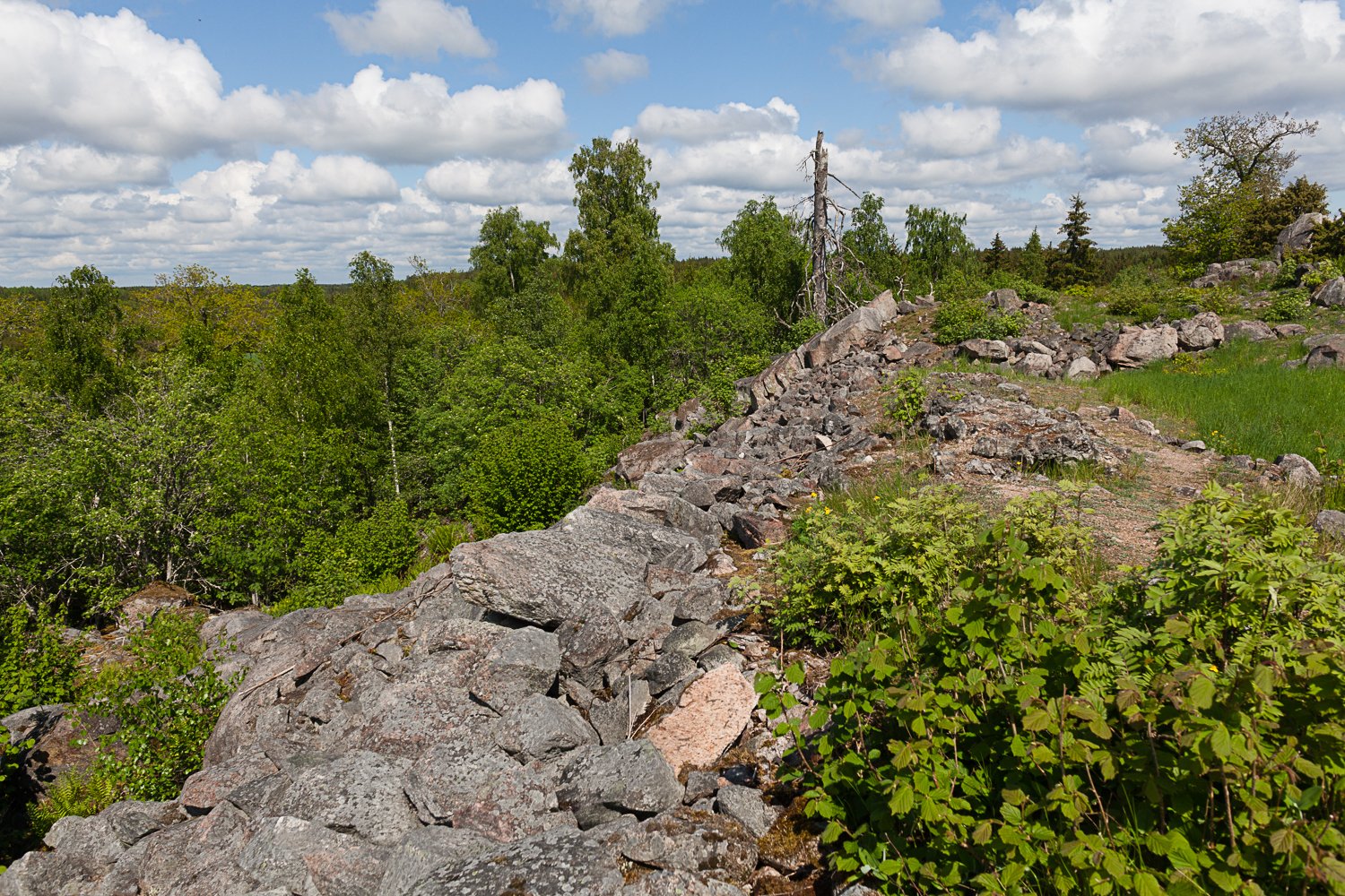 En stenmur står vid kanten av en brant. Det är många träd och buskar runtomkring och marken är ojämn med flera stora stenar utspridda runtomkring.